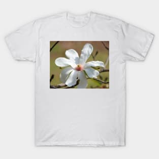 Magnolia Blossom T-Shirt